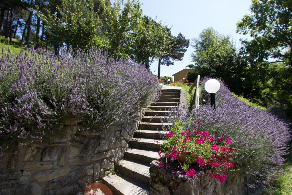 Antico Borgo I Cancelli Palazzuolo Sul Senio Kültér fotó
